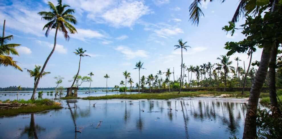 Tranquil tropical scene with palm trees by the calm water, under a vibrant blue sky.
